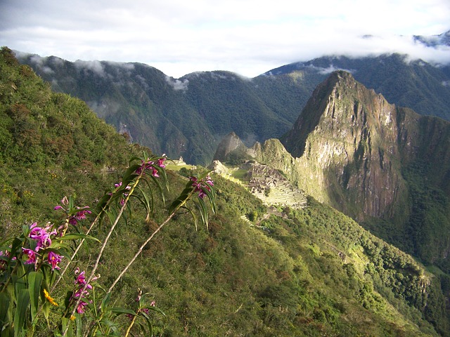 Machu Picchu Perú Orquídeas Paisaje Montañas